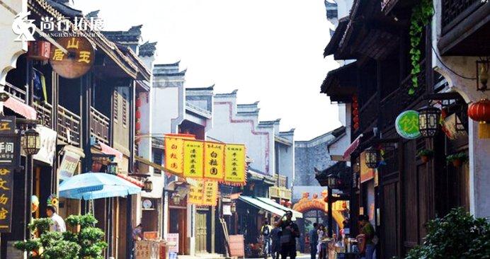 救援受困的长颈鹿