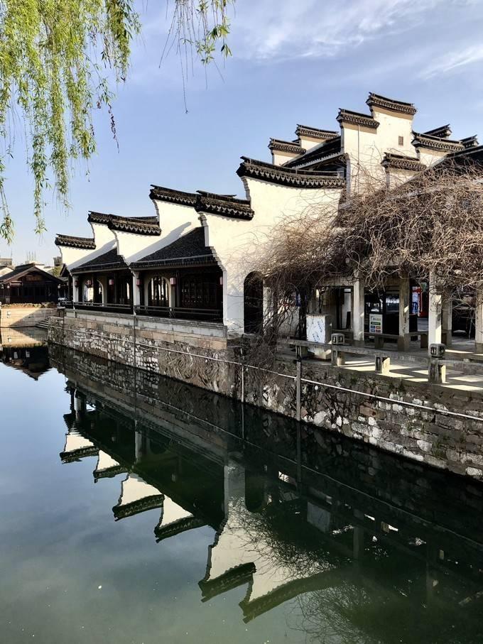 可爱的小孔雀救援